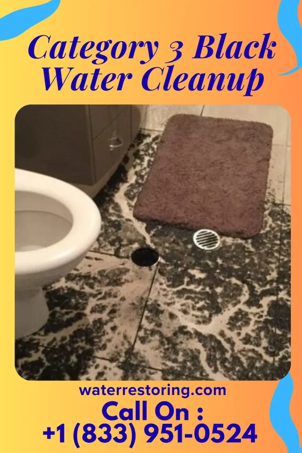 Category 3 Black Water Cleanup in Plymouth, IN