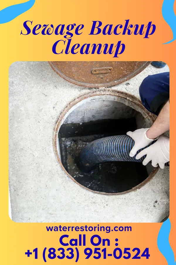 Sewage Backup Cleanup in Plymouth, IN